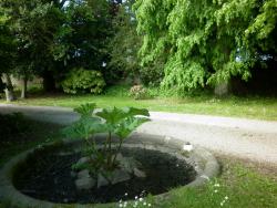 parc du manoir de la baronnie